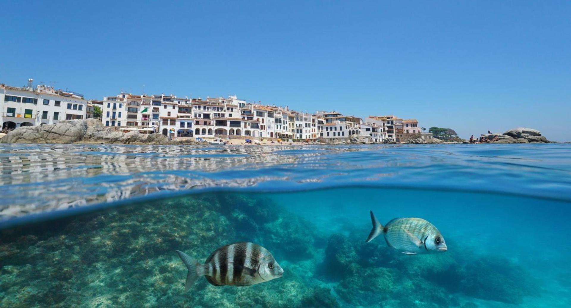 Apartamento Recien Reformado A 300 Metros Del Mar Calella De Palafrugell Luaran gambar