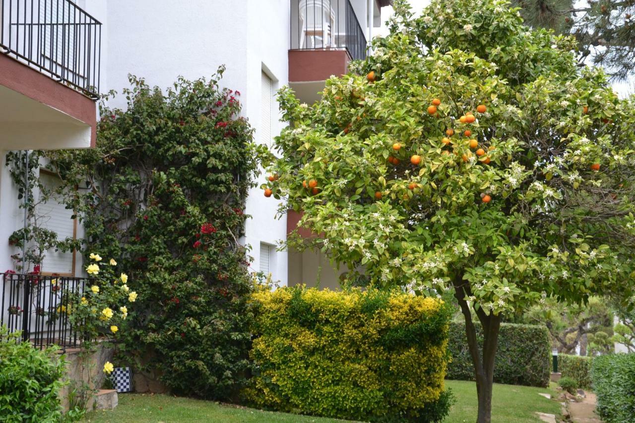 Apartamento Recien Reformado A 300 Metros Del Mar Calella De Palafrugell Luaran gambar