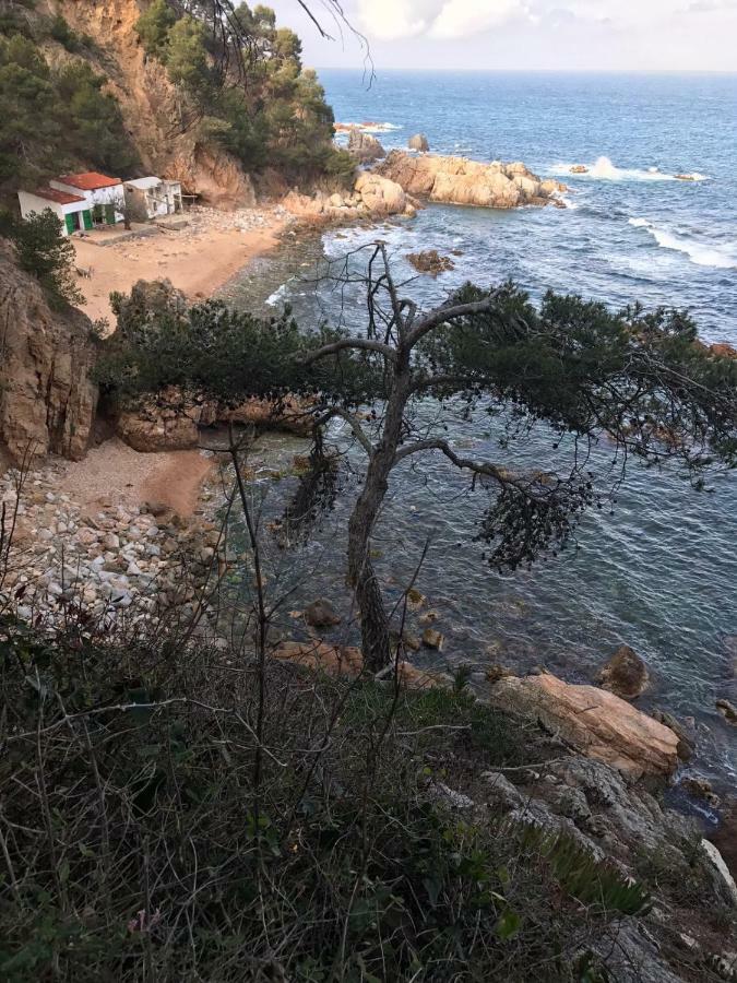 Apartamento Recien Reformado A 300 Metros Del Mar Calella De Palafrugell Luaran gambar